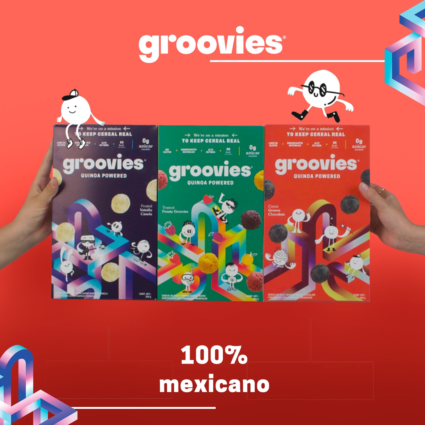 12 PACK CHOCOLATE GROOVIES